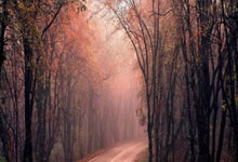 爱游戏馆-罗马尼亚大捷！击败摩尔多瓦，奇迹晋级竞技巅峰！