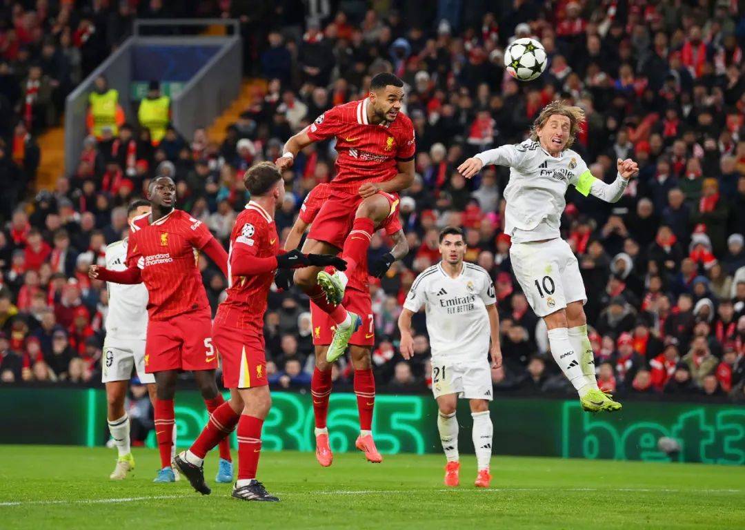 利物浦替补席深度成优势,冲击世俱杯冠军的简单介绍 利物浦替补席深度成优势,冲击世俱杯冠军的简单介绍