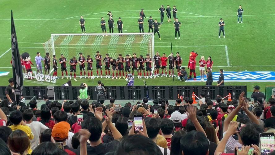 爱游戏培训-帕尔梅拉斯主场优势明显，球迷期待逆转奇迹的简单介绍