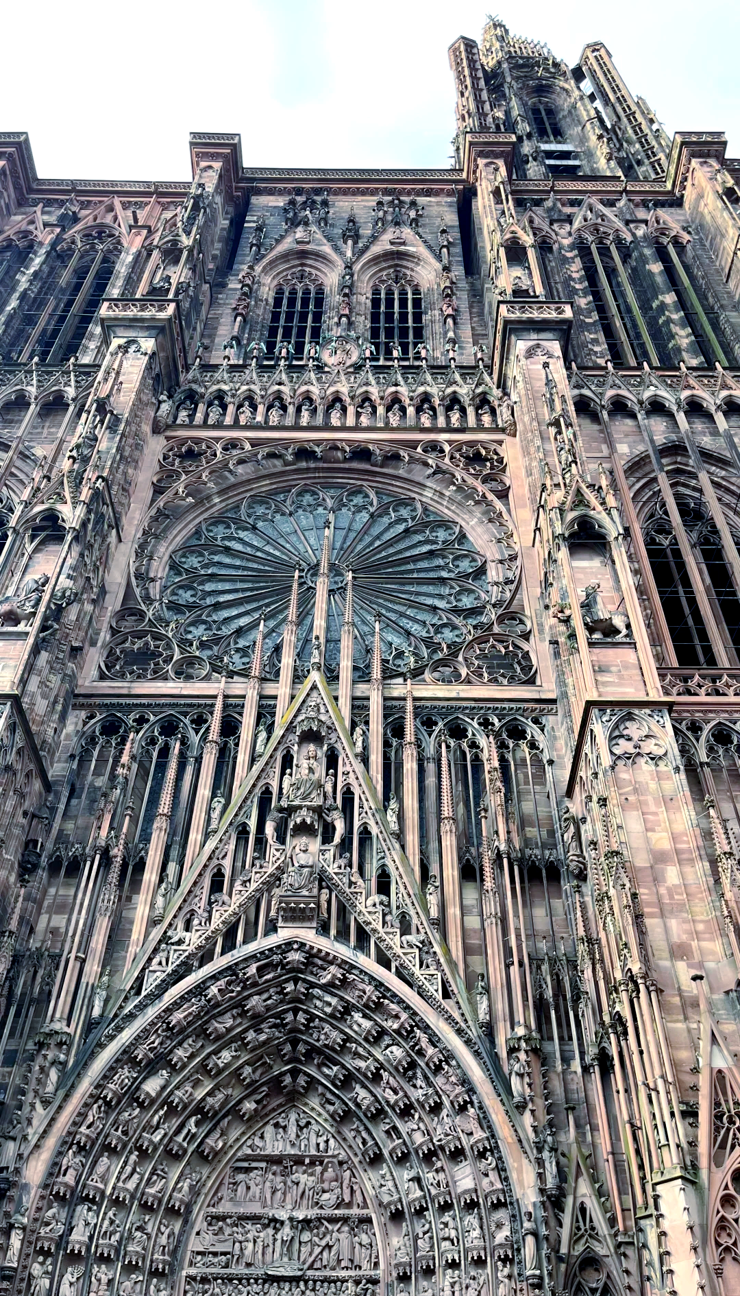 关于斯特拉斯堡(Strasbourg)主场惨败,积分榜岌岌可危的信息 关于斯特拉斯堡(Strasbourg)主场惨败,积分榜岌岌可危的信息